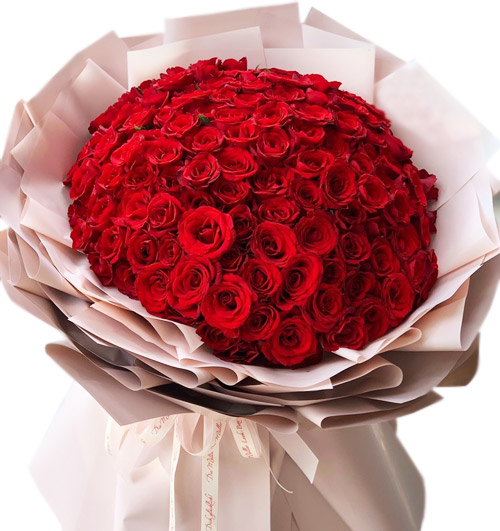 99-red-roses-valentine-1