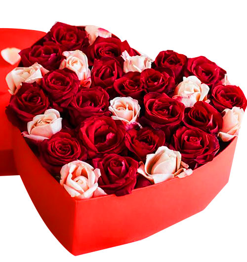 roses for valentine 011