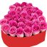 special flowers or valentine 073