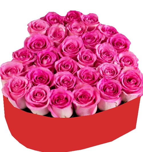 special-flowers-or-valentine-073