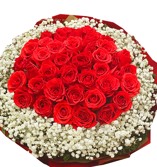 valentine 36 red roses 02