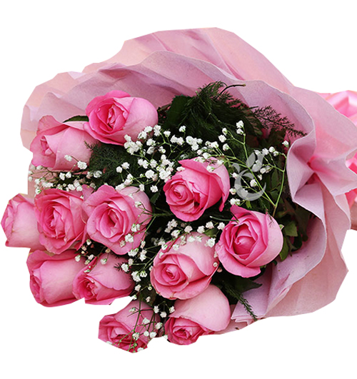 12-pink-roses-womens-day
