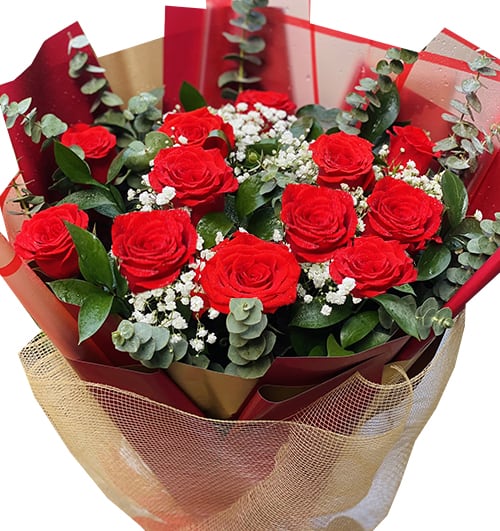12-red-roses-womens-day