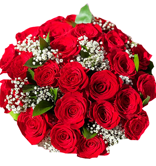 24-red-roses-womens-day