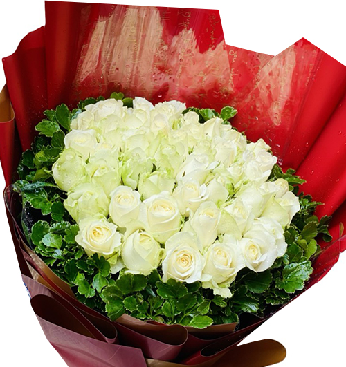 24-white-roses-womens-day