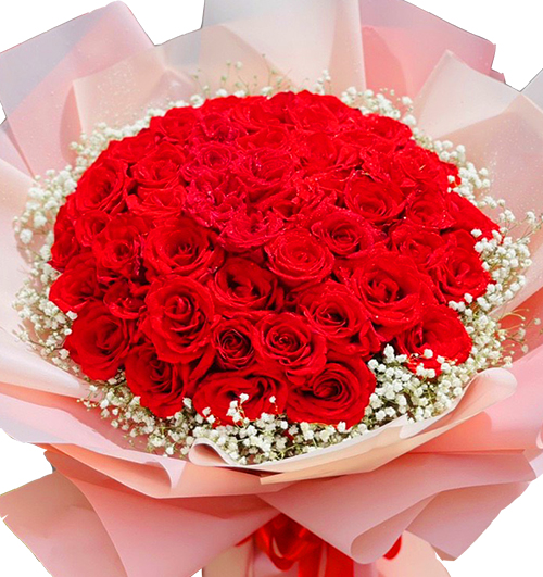 99-red-roses-womens-day-02