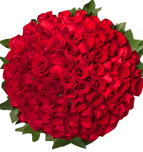 99 Red Roses – Women’s Day