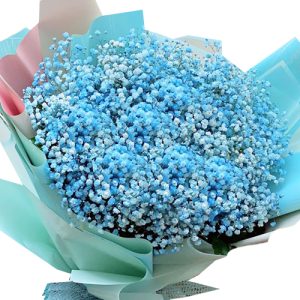 blue-baby-breath-flowers
