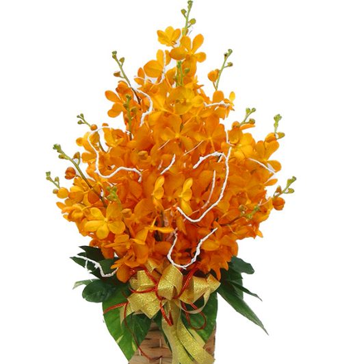 orchids for mom 02