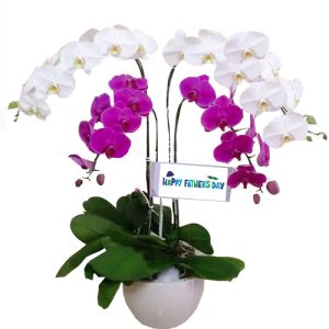 orchids-for-dad-14