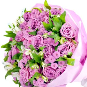 Purple Rose Daisy Flower