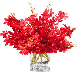 red-orchid-02