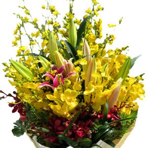 special-mixed-orchid