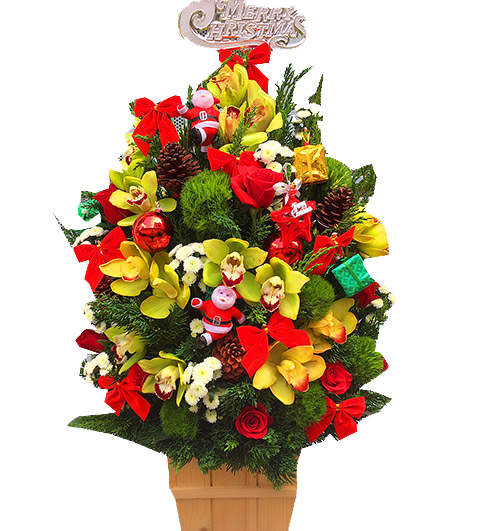 special christmas flowers vietnam 12