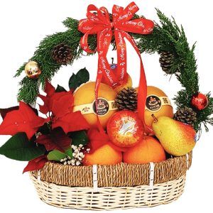 special-christmas-fruits-13