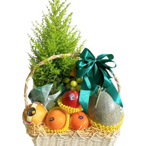 special-christmas-fruits-15
