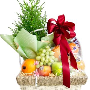 special-christmas-fruits-17