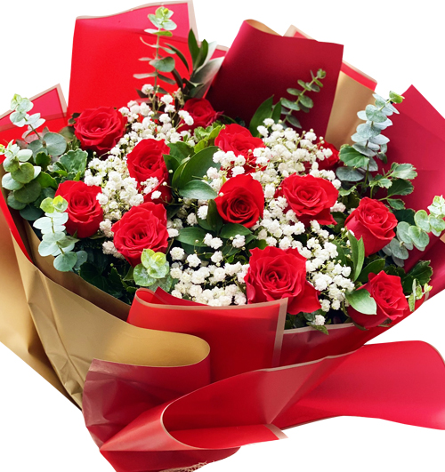 12-red-roses-valentine