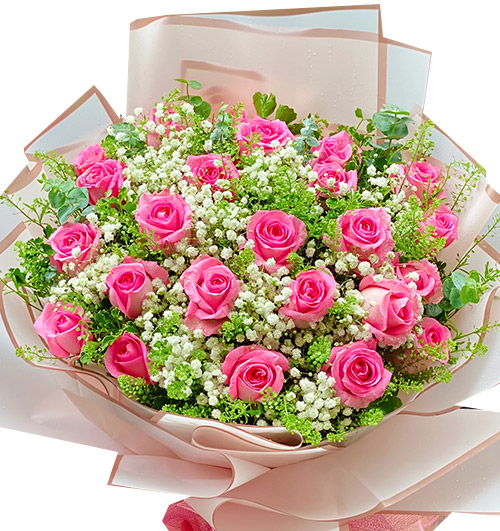 24 Pink Roses Valentine