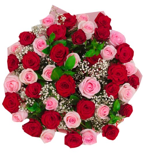 36 Mixed Roses Valentine 2