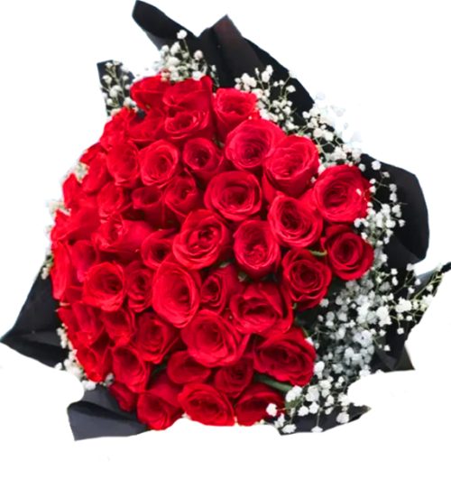 36 Red Roses Valentine 1