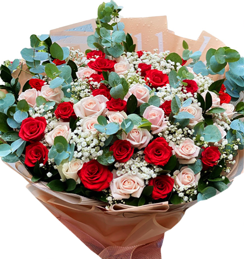 48 Mixed Roses - Valentine 2