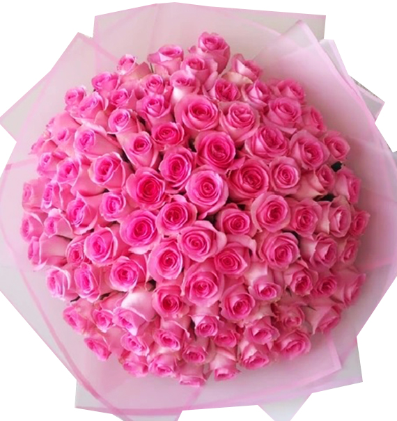 99 Pink Roses - Valentine