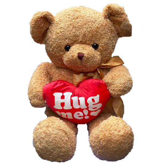 Teddy bear hug me