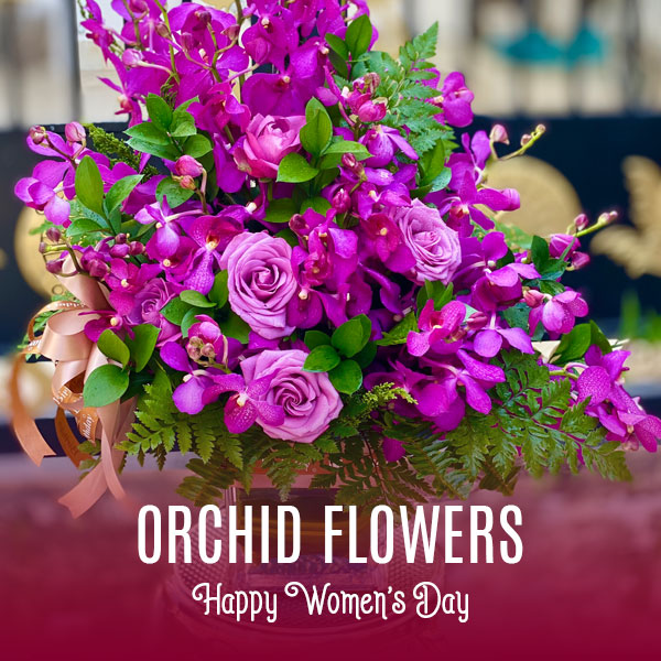 orchid-flowers-banner-homepage-600x600