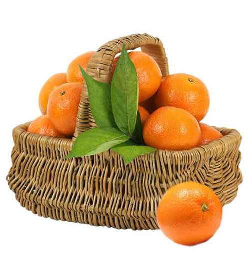 Fresh-Orange-Basket