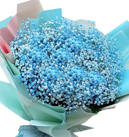 blue-baby-breath-flowers