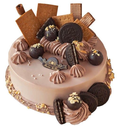 choco-party-01-baskinrobbins-cake