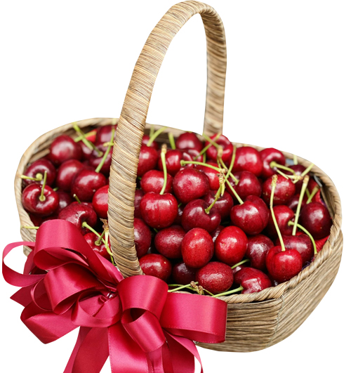 fresh-cherry-basket