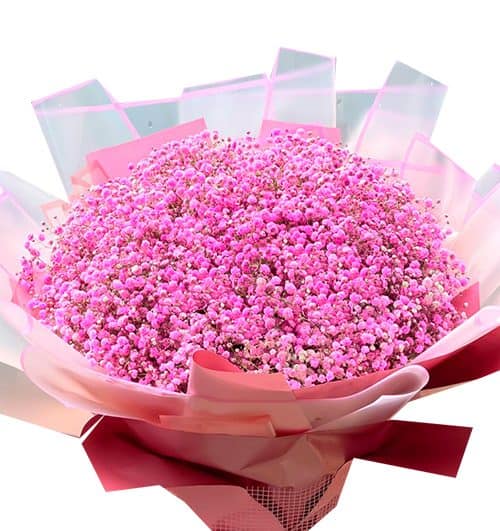 pink-baby-breaths-flowers