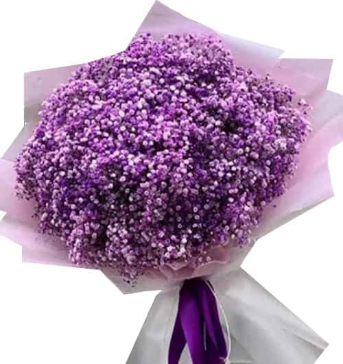 purple-baby-breath-flowers