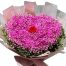 special-pink-baby-breaths-flowers