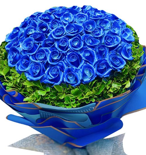 love mom 48 blue roses