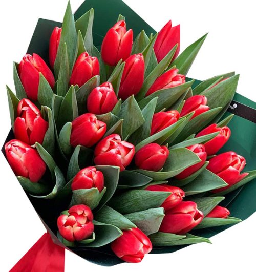 tulip-flowers-09