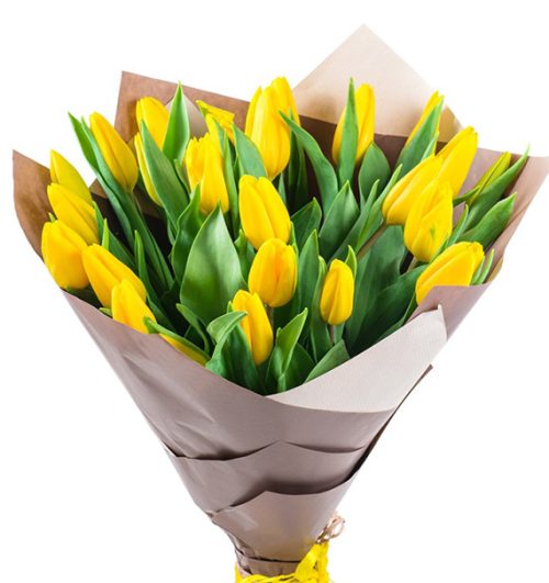 tulip-flowers-11