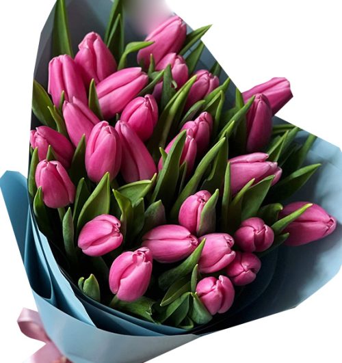 tulip-flowers-13