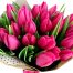 tulip-flowers-15