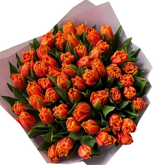 tulip-flowers-20