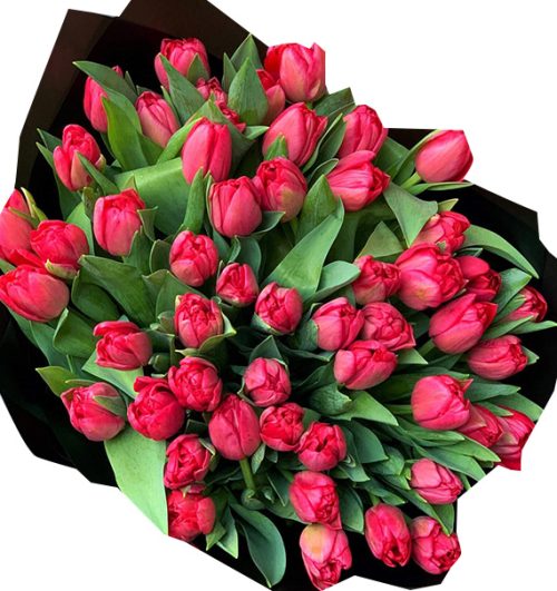 tulip-flowers-22