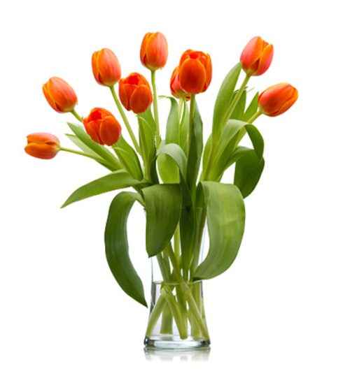 tulip-flowers-in-vase-07