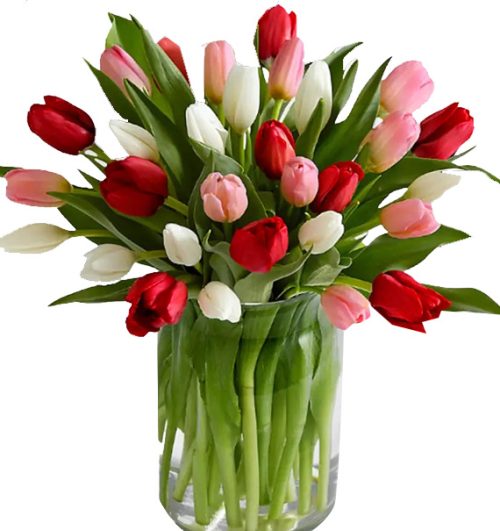 tulip-flowers-in-vase-09