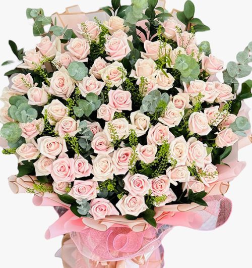 48 peach roses valentine vietnam 01