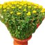 A Pots Of Yellow Chrysanthemum