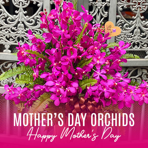 mothers day orchids banner 600x600