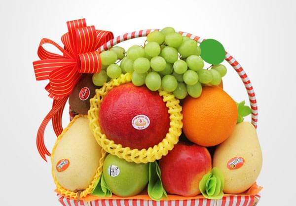 fresh fruits vietgifts banner 600x418